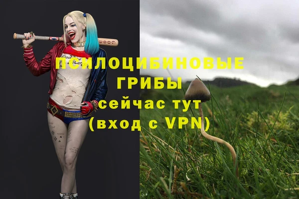 марки nbome Баксан