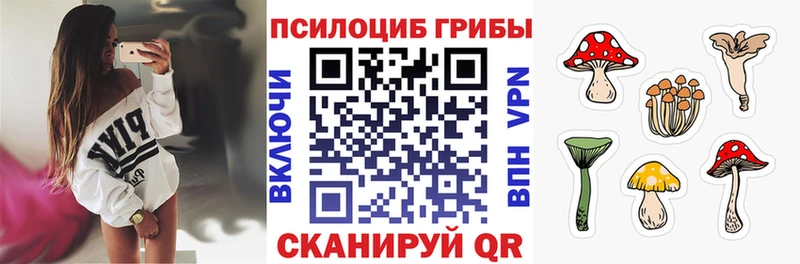 Псилоцибиновые грибы мухоморы  купить  сайты  Кувандык 